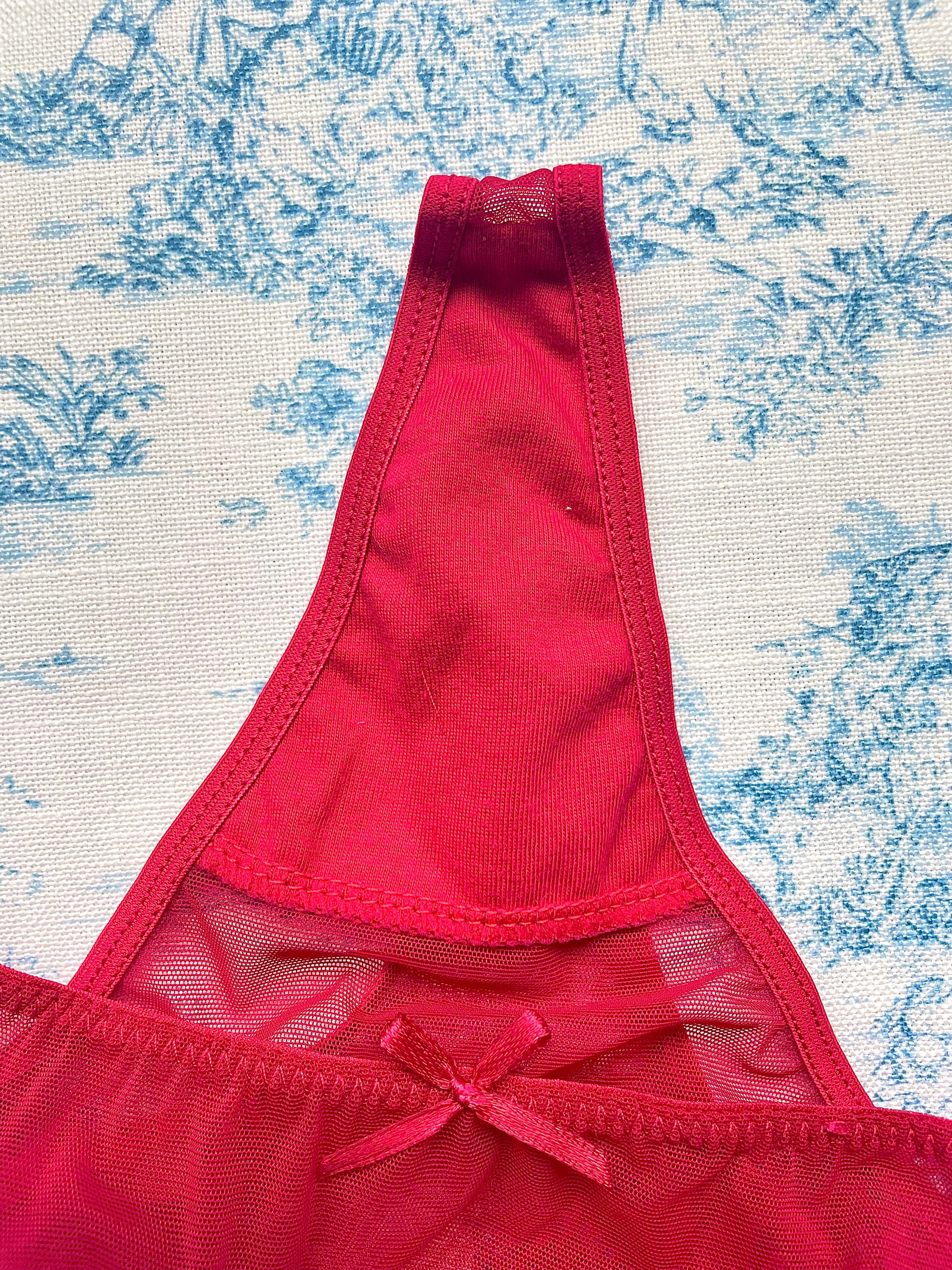 Red Mesh Butterfly Panty