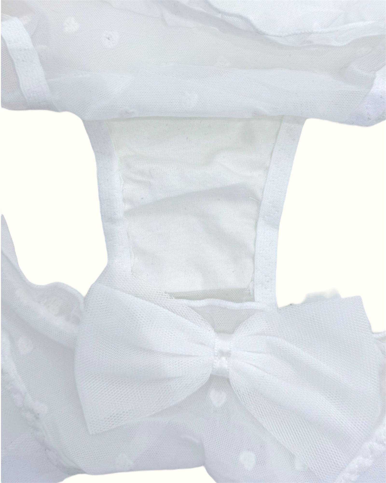 Sheer White Ruffle Panties with Bow Detail