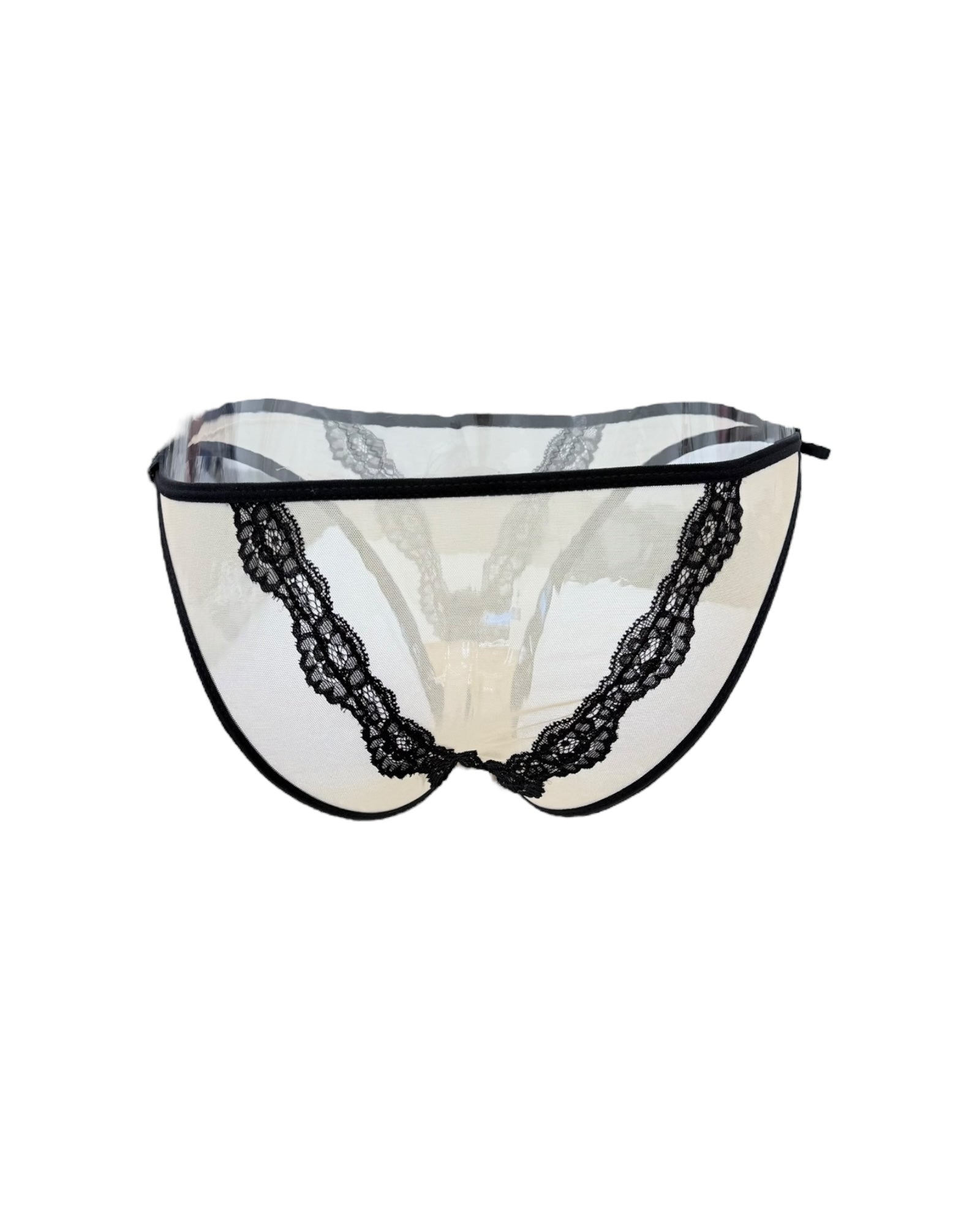 Elegant Sheer Lace Accent Panty