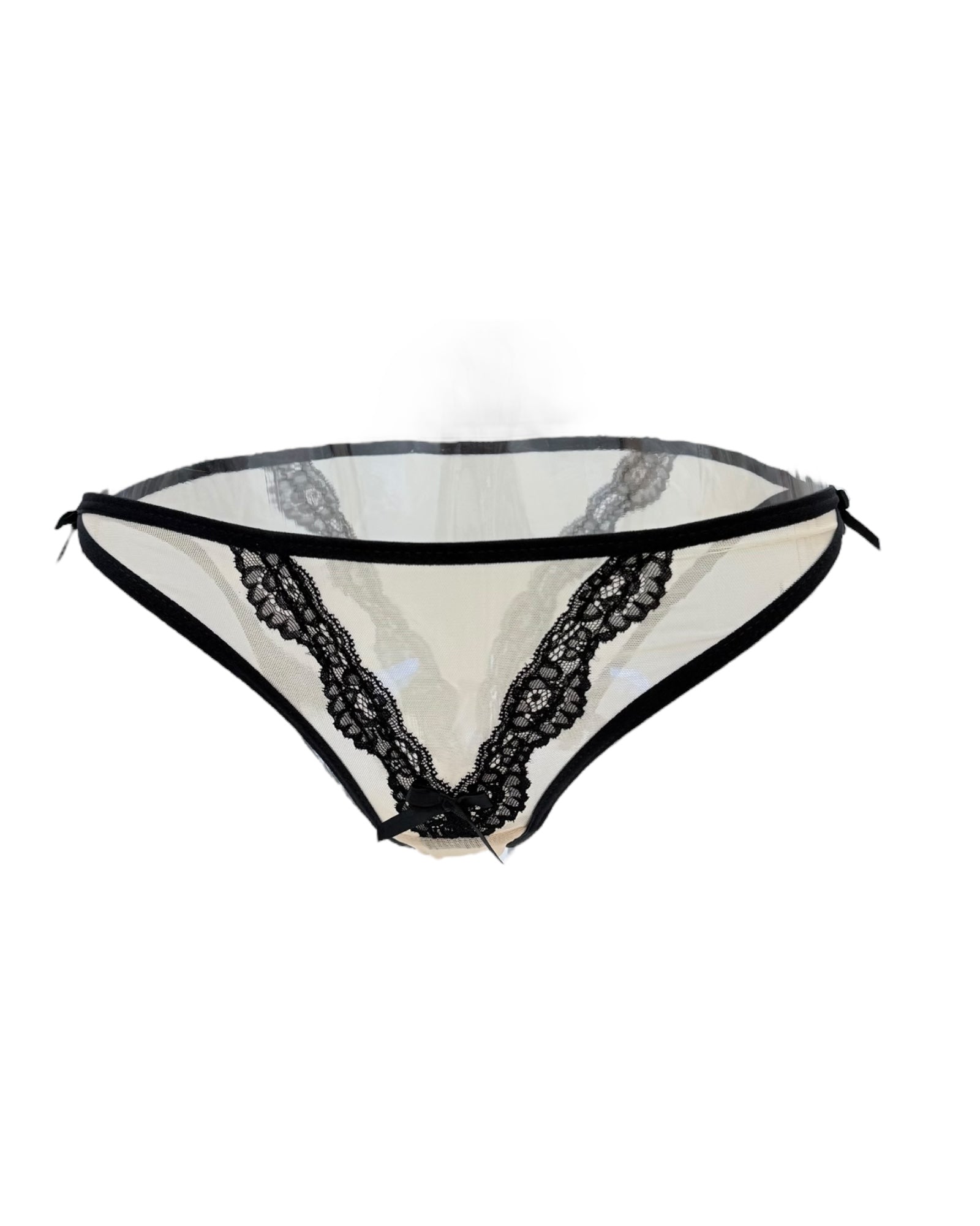 Elegant Sheer Lace Accent Panty